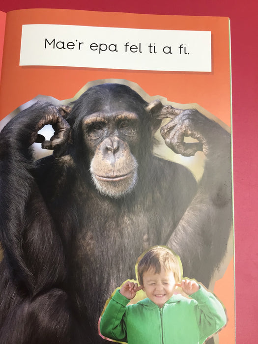 Dyna Chi Dric: Epa *