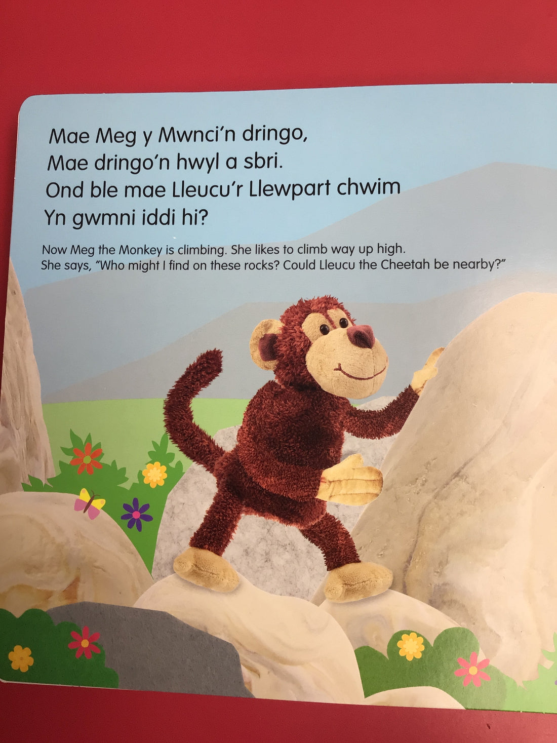 Codi Fflap Pi-po Mwnci