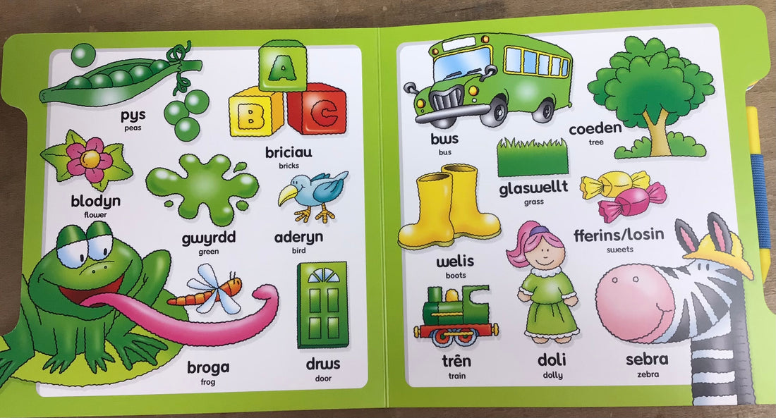 Fy Llyfr Ysgrifennu Hud/My Magic Writing Book: Ysgrifennu Geiriau Cyntaf/Writing My First Words
