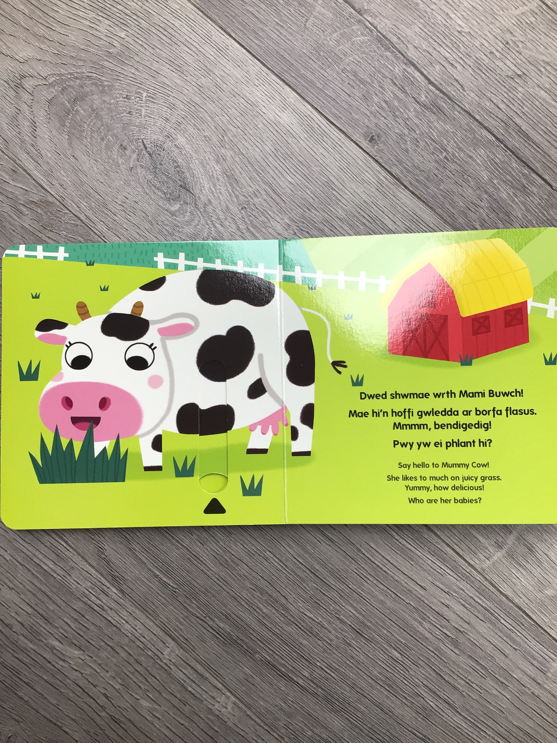 Croeso, anifeiliaid bach y fferm! / Welcome! Little Farm Animals