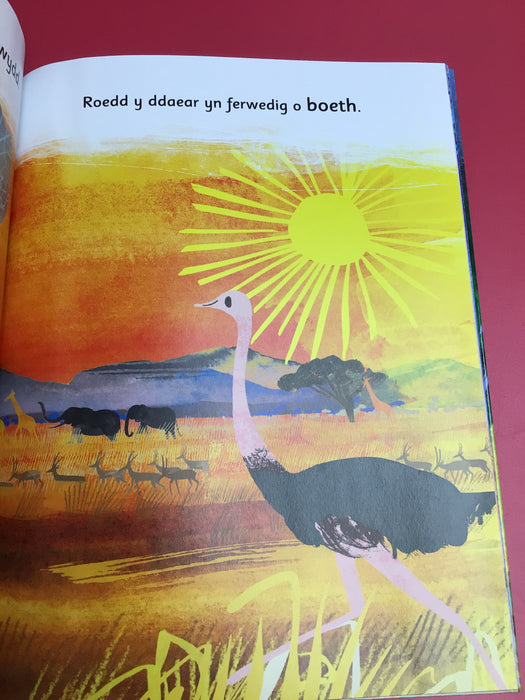 Cled y Cwmwl Unig / Cyril the Lonely Cloud *