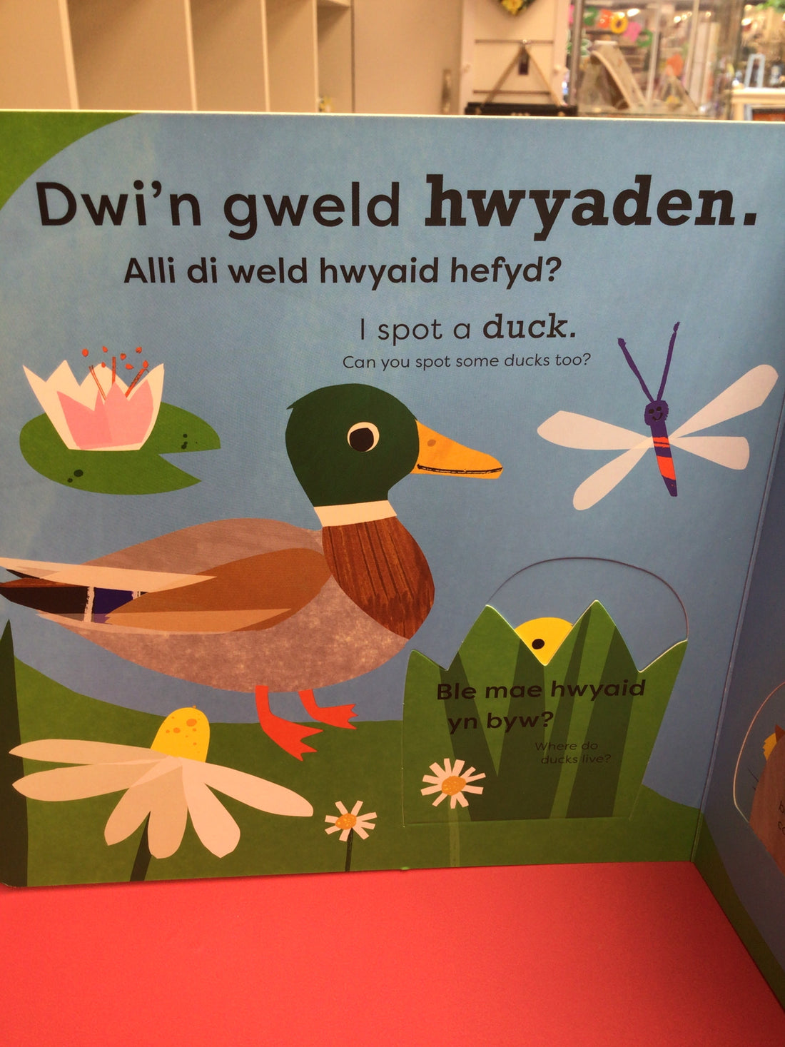 Dwi&