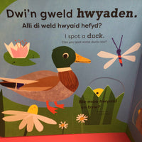 Dwi'n Gweld Hwyaden / I Spot a Duck