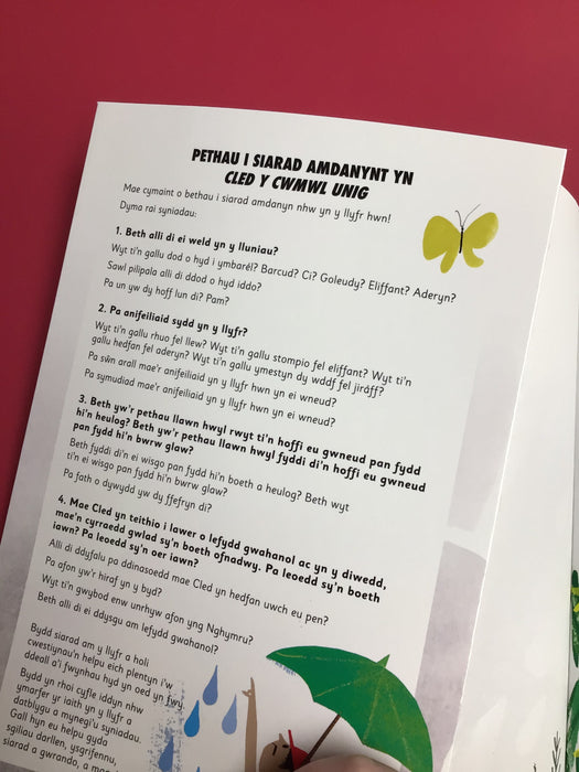 Cled y Cwmwl Unig / Cyril the Lonely Cloud *