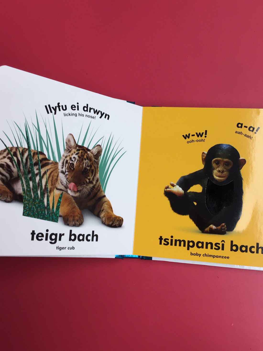 Babi Cyffwrdd a Theimlo: Anifeiliaid / Baby Touch and Feel: Animals