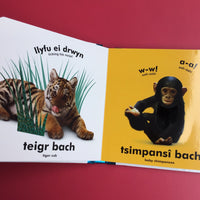 Babi Cyffwrdd a Theimlo: Anifeiliaid / Baby Touch and Feel: Animals