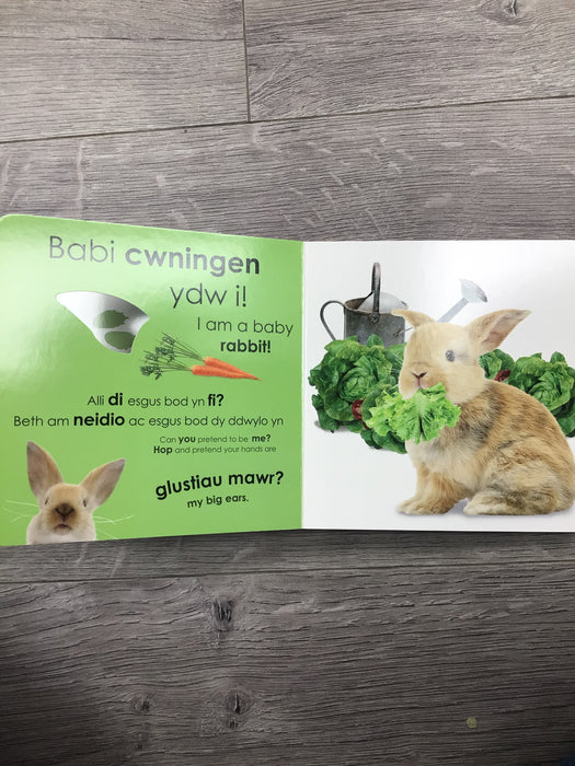 Pwy Ydw i? Anifeiliaid Bach / Who Am I? Baby Animals