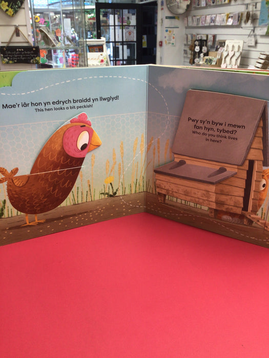 Fferm Fflaptastig / Fflaptastic Farm