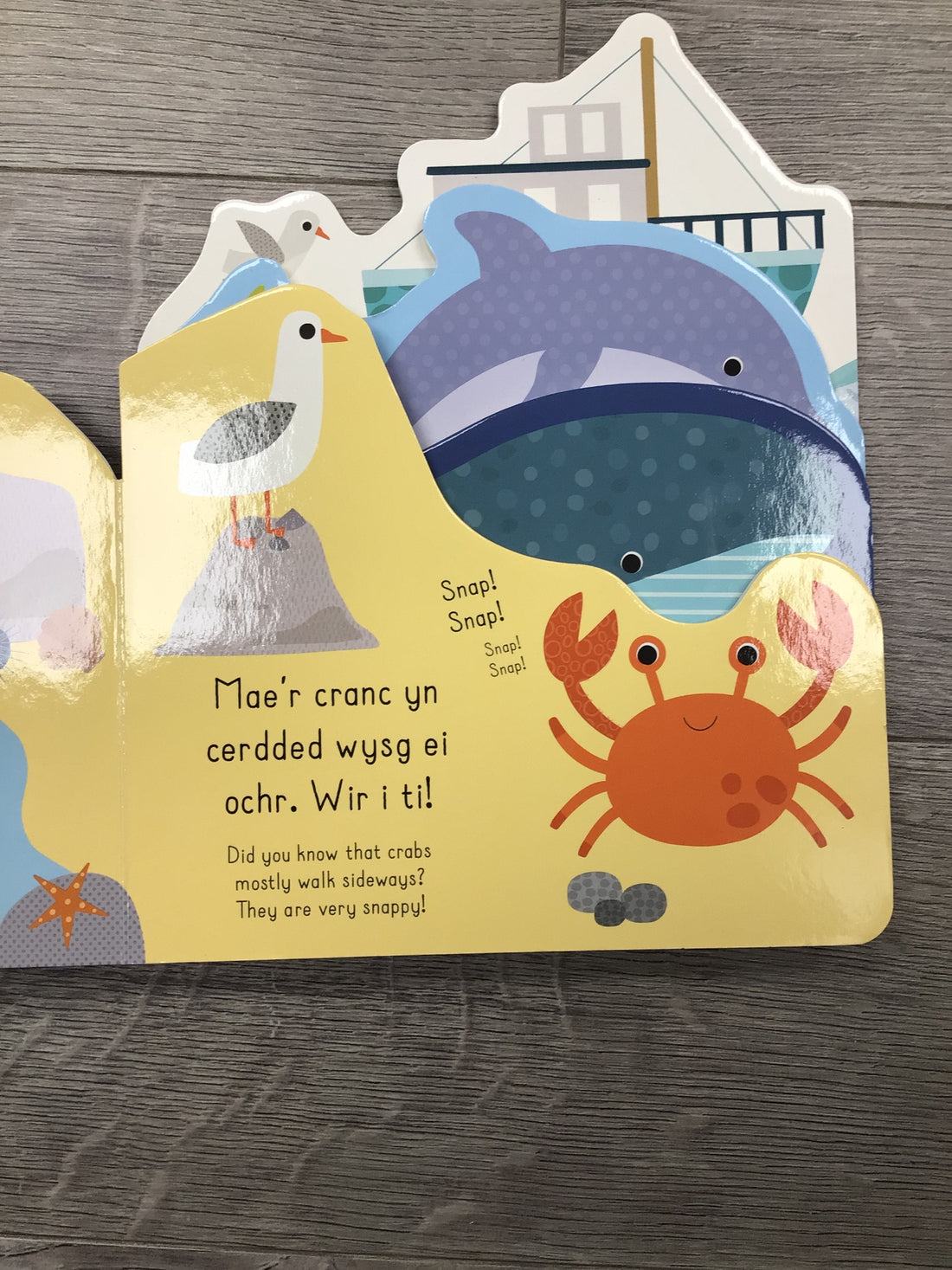 Llyfrau Wibli Wobli - Môr / Wibbly Wobbly Books - Ocean