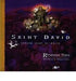 Saint David: Patron Saint of Wales cover image