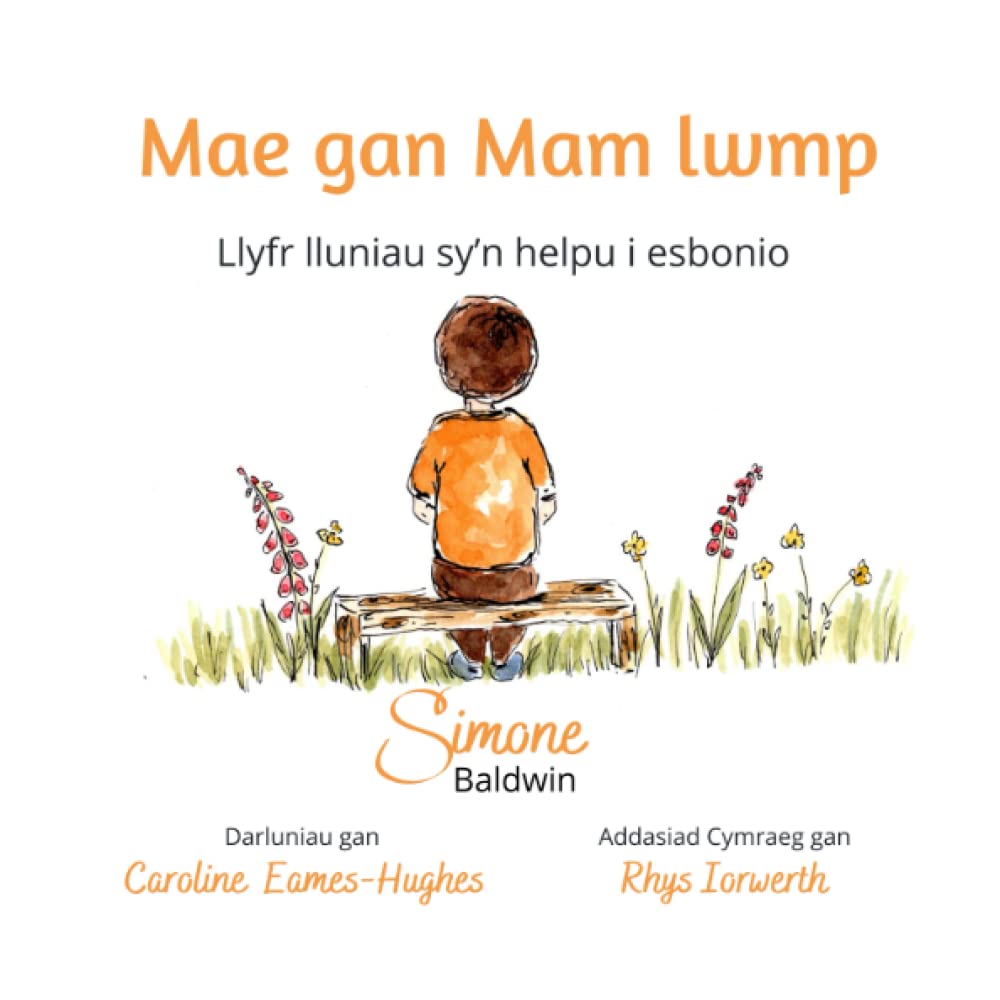 Mae gan Mam lwmp: Llyfr lluniau sy’n helpu i esbonio (Welsh Edition) cover image