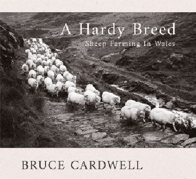 Hardy Breed, A