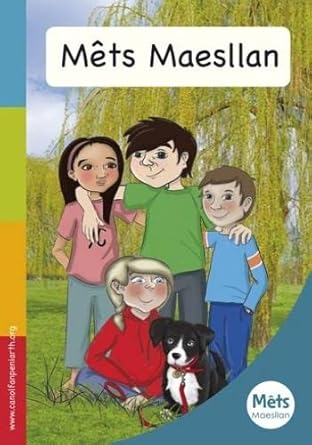Mets Maesllan - Llyfr Rhagarweiniol (Welsh Edition) cover image
