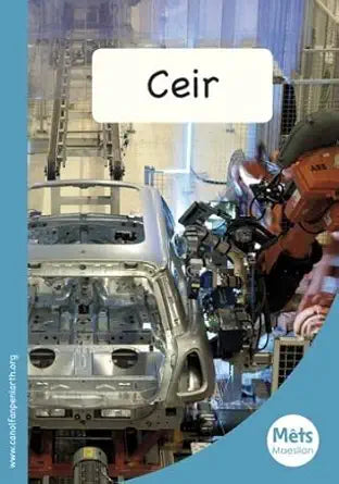 Mets Maesllan: Ceir (Welsh Edition) cover image