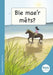 Mets Maesllan: Ble Mae'r Mets? (Welsh Edition) cover image