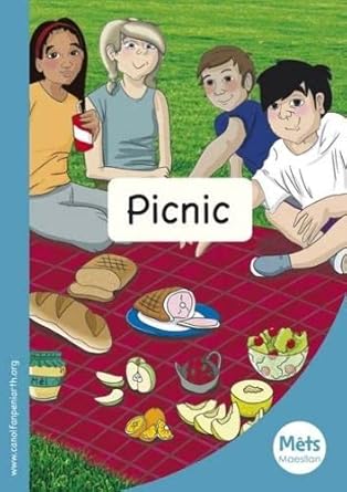 Mets Maesllan: Picnic (Welsh Edition) cover image