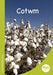Mets Maesllan: Cotwm (Welsh Edition) cover image