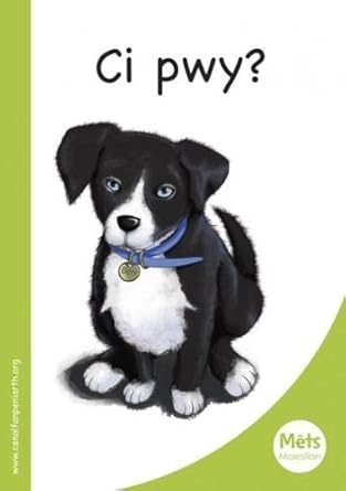 Mets Maesllan: Ci Pwy? (Welsh Edition) cover image