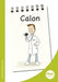 Mets Maesllan: Calon (Welsh Edition) cover image