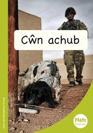Mets Maesllan: Cwn Achub (Welsh Edition) cover image