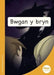 Mêts Maesllan: Bwgan y Bryn cover image