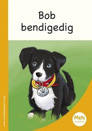 Mets Maesllan: Bob Bendigedig (Welsh Edition) cover image
