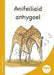 Mets Maesllan: Anifeiliaid Anhygoel (Welsh Edition) cover image