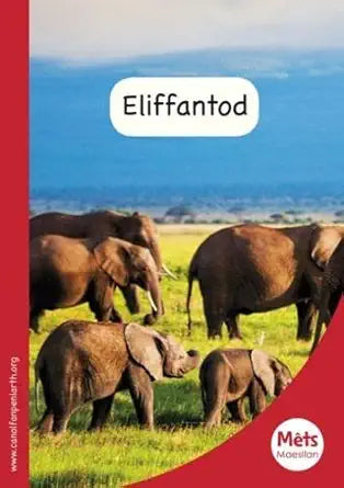 Mets Maesllan: Eliffantod (Welsh Edition) cover image