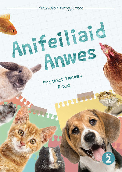 Cyfres Archwilio&