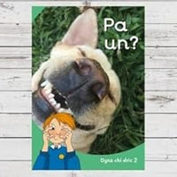Dyna Chi Dric: Pa Un [Welsh] cover image