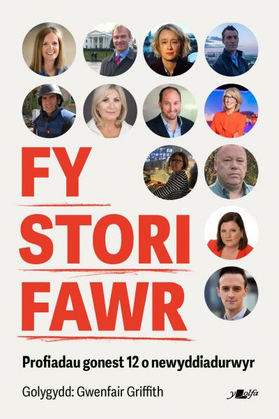 Fy Stori Fawr *