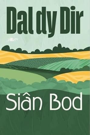 Dal dy Dir cover image