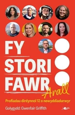 Fy Stori Fawr Arall cover image
