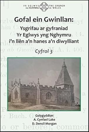 Gofal ein Gwinllan 3 - Ysgrifau ar gyfraniad Yr Eglwys yng Nghymru i&