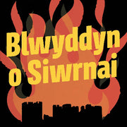 Blwyddyn o Siwrnai