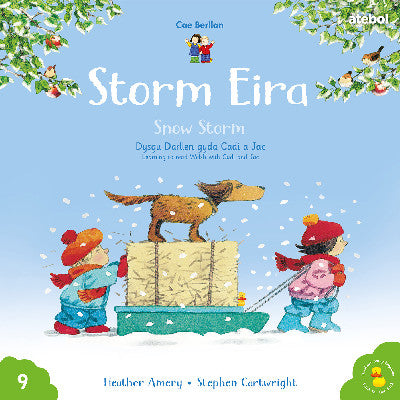 Cyfres Cae Berllan: Storm Eira / Snow Storm