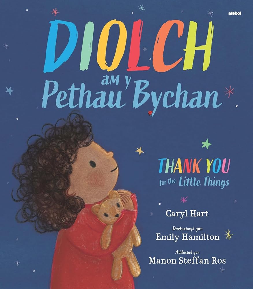 Diolch am y Pethau Bychan / Thank you for the Little Things cover image