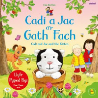 Cadi a Jac aâ€™r Gath Fach / Cadi and Jac and the Kitten
