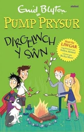 Pump Prysur: Dirgelwch y Sŵn cover image