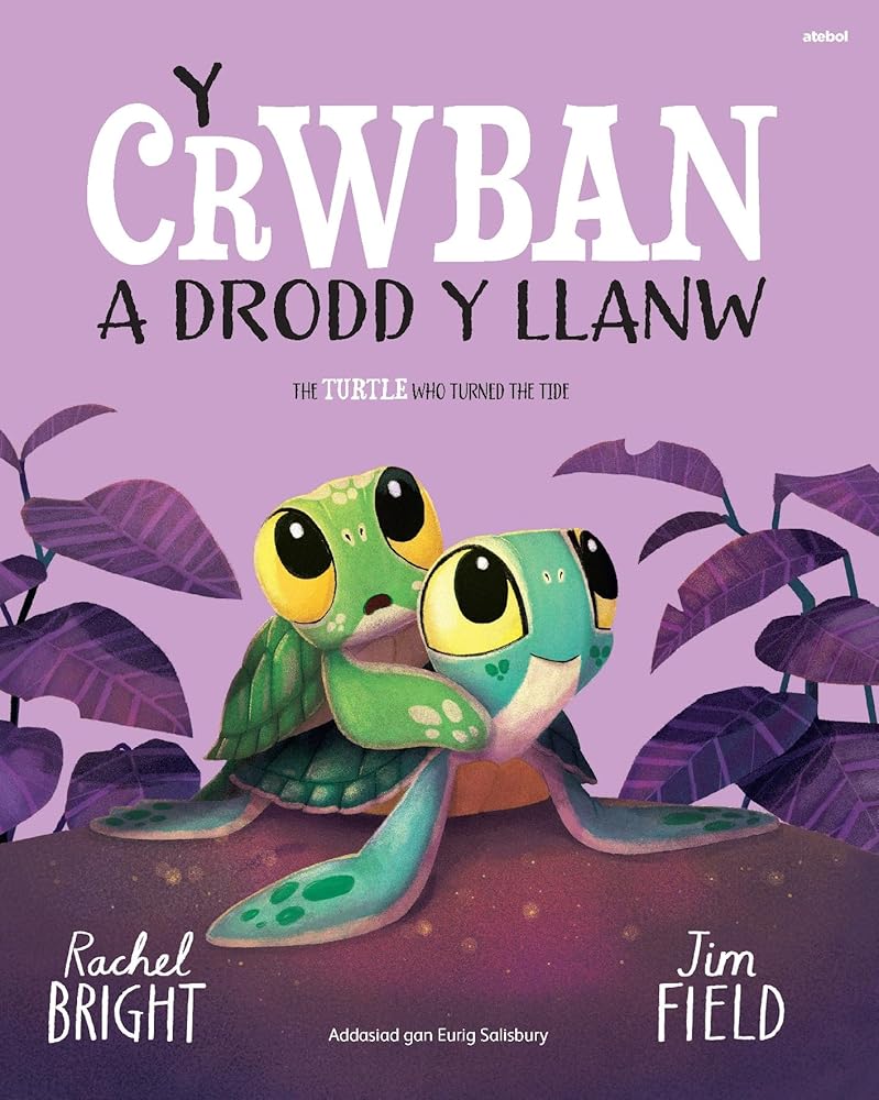 Y Crwban a Drodd y Llanw / The Turtle Who Turned The Tide cover image