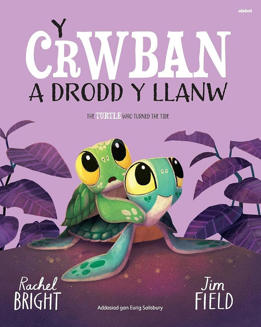 Y Crwban a Drodd y Llanw / The Turtle Who Turned The Tide cover image