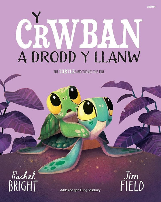 Y Crwban a Drodd y Llanw / The Turtle Who Turned The Tide cover image