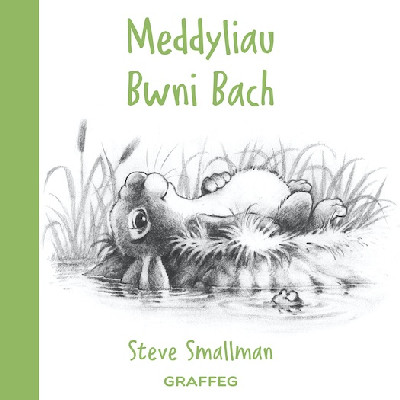 Meddyliau Bwni Bach *