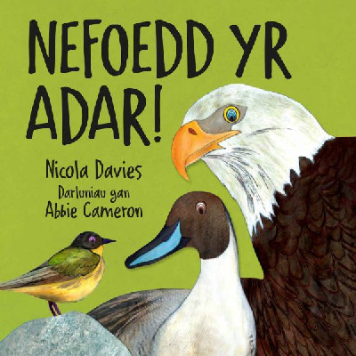 Nefoedd yr Adar! +