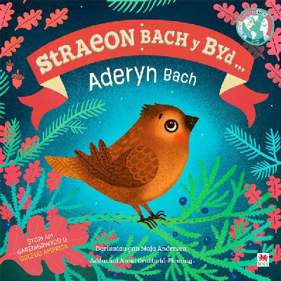Aderyn Bach, Yr / Little Bird, The (Cyfres Straeon Bach y Byd)
