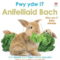 Pwy Ydw i? Anifeiliaid Bach / Who Am I? Baby Animals cover image