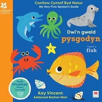 Dwi'n Gweld Pysgodyn / I Spot a Fish cover image