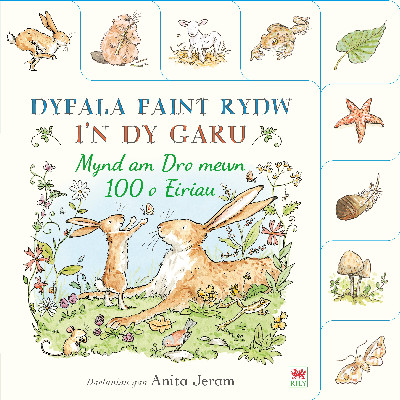 Dyfala Faint Rydw i&