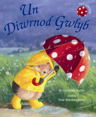 Cyfres Draenog Bach: Un Diwrnod Gwlyb