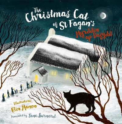 Christmas Cat at St Fagan&